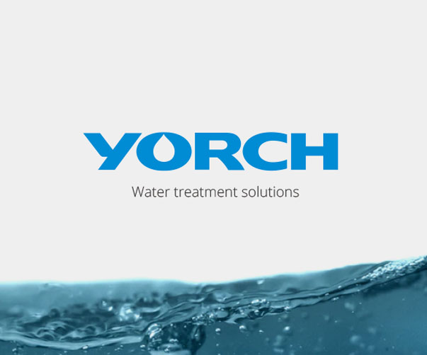 包裝設(shè)計趨勢：如何將新鮮蔬菜包裝得更吸引人