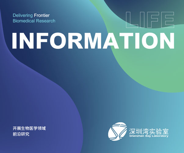 上海創(chuàng)意Logo設(shè)計(jì)終極指南：從零打造令人印象深刻的品牌標(biāo)識(shí)